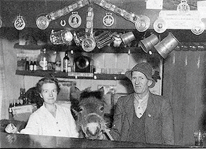 Photo of Mabel and Sash Noble behind the bar in the Kings Head with equine friend